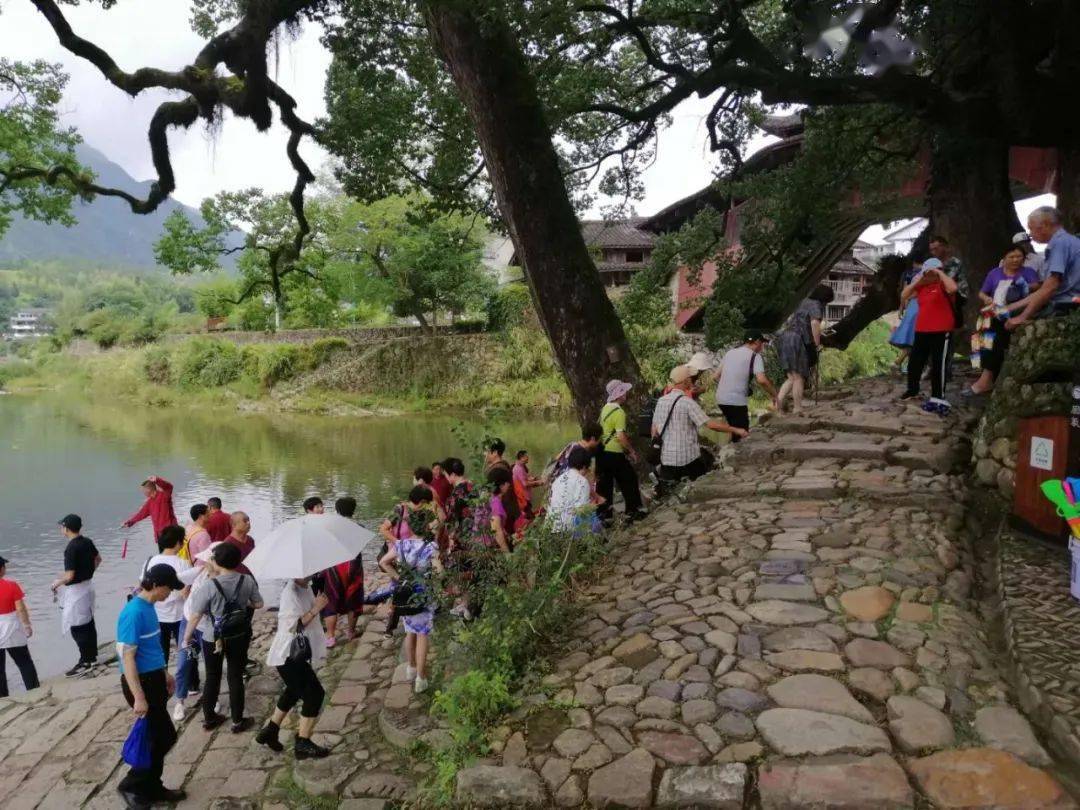 泰顺旅游热潮 每天大型旅游团涌入，山区小城成热门目的地